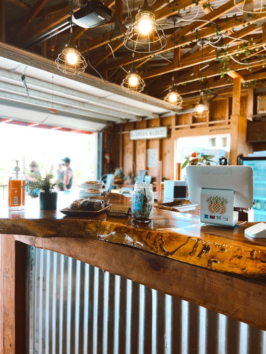 Timber counter and pastry display in a bright coastal cafe, used as the hero image of a demonstration hospitality website